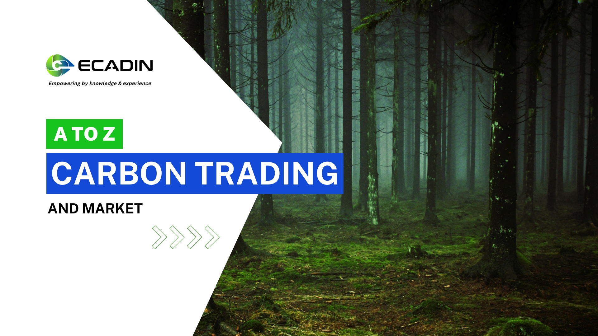 A to Z Carbon Trading and Market Batch 1 [CLOSED]